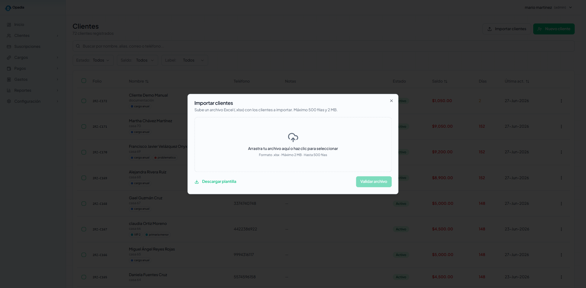 Modal importar clientes