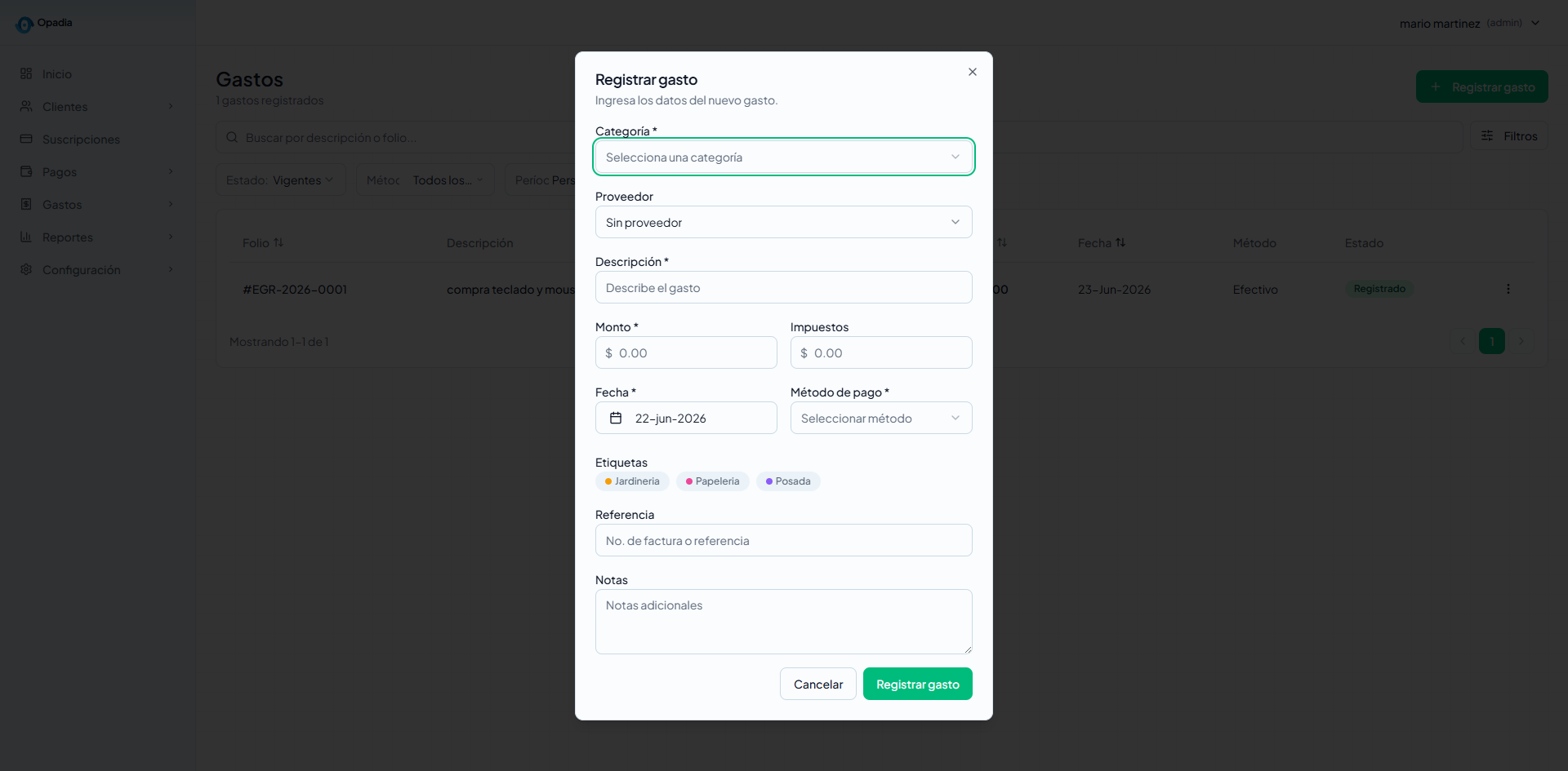 Modal nuevo gasto